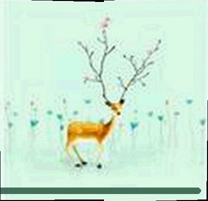 孙悦